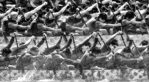 Salon.Photo Silver Medal